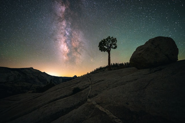 A lone tree standing out against the stars and milkway galaxy on a clear night